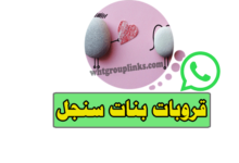 جروب واتس بنات سنجل