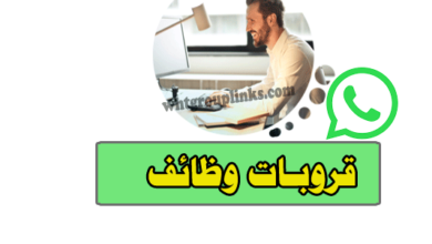 جروب وظائف واتس