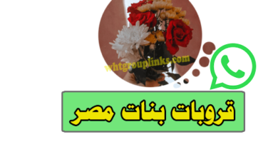 قروبات واتس بنات مصر