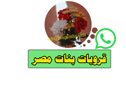 قروبات واتس بنات مصر