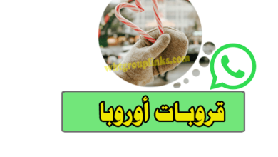 مجموعة واتساب أوروبا 18