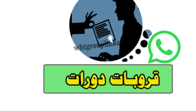 قروب دورات مجانية
