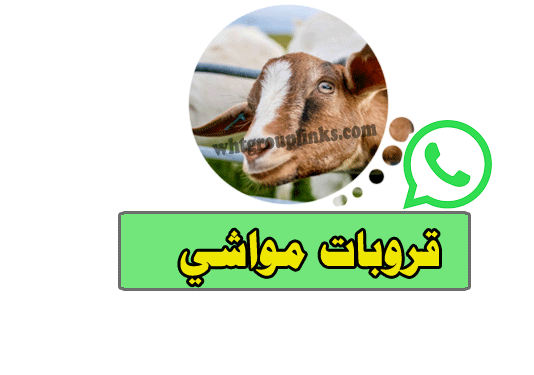 قروب واتس اب للحلال